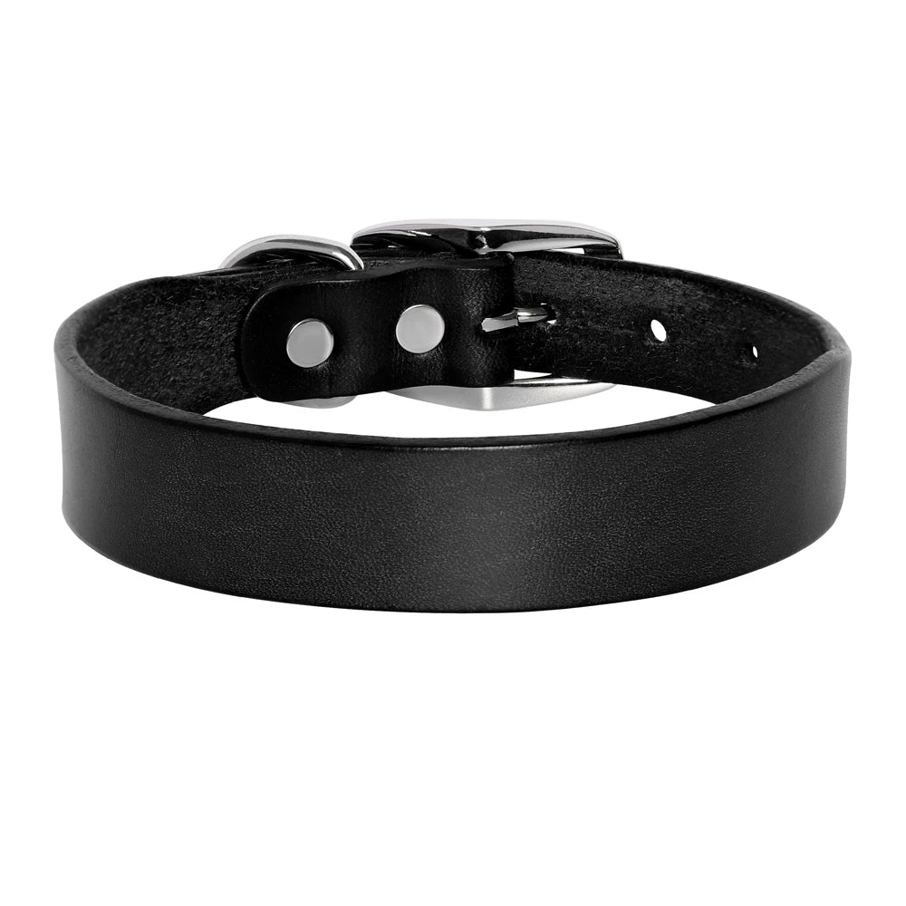 Genuine Leather Dog Collar – Classic Black or Brown, Durable Everyday Pet Collar