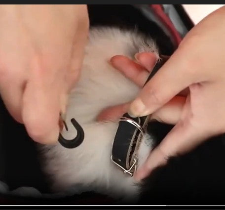 Breathable Backpack for Carrying Little Dogs and Cats (and Other Critters)