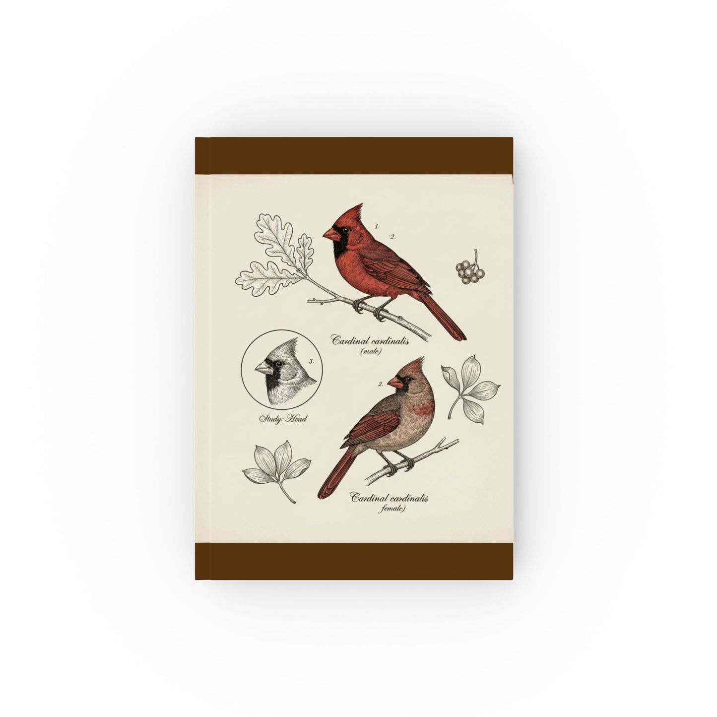 Vintage-style Cardinal Birds Scientific Sketch— Hardback Blank or Ruled Notebook