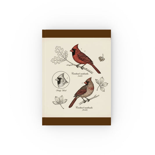 Vintage-style Cardinal Birds Scientific Sketch— Hardback Blank or Ruled Notebook