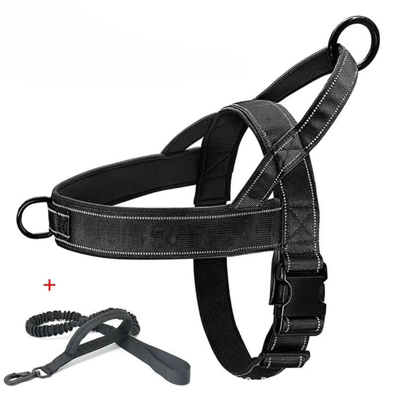 Black dog harness with reflective stitching and metal D-ring and O ring, shown with a matching black leash on a white background.