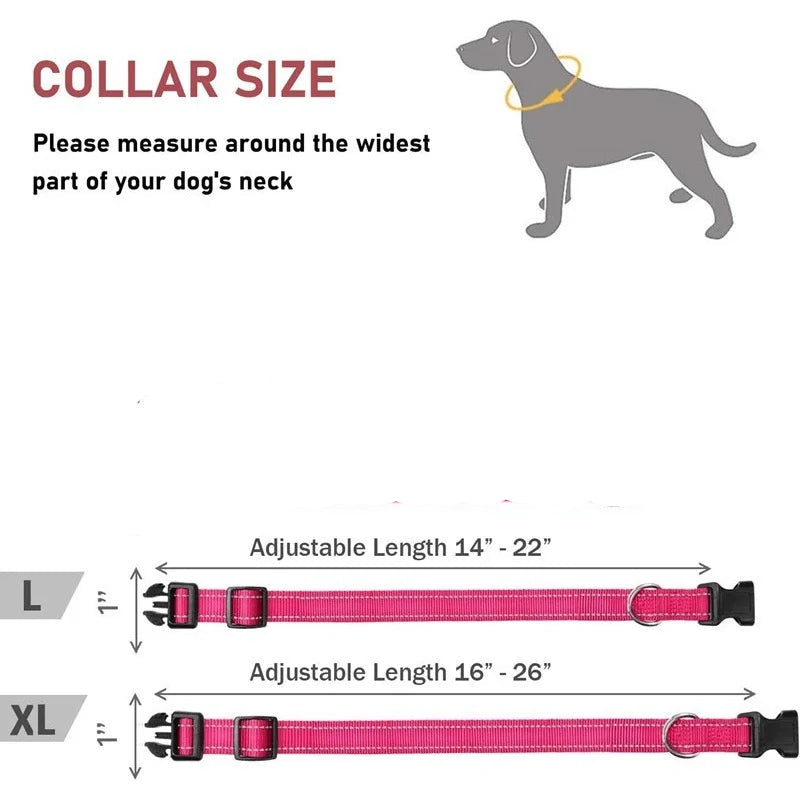 Dog collar size chart with measurements for different dog neck sizes.
