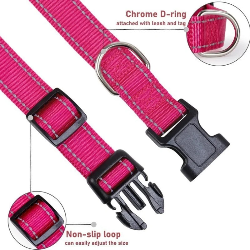 Pink dog collar with chrome D-ring, non-slip loop, and adjustable buckle on a white background.