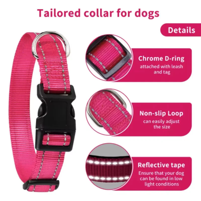 Pink dog collar with features highlighted on a white background