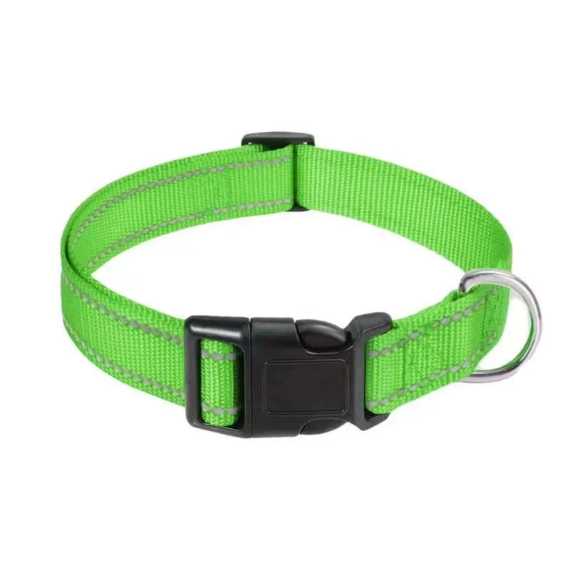 Green dog collar with a black buckle on a white background