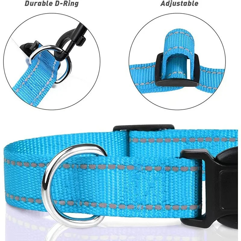 Blue dog collar with durable D-ring and adjustable buckle on a white background