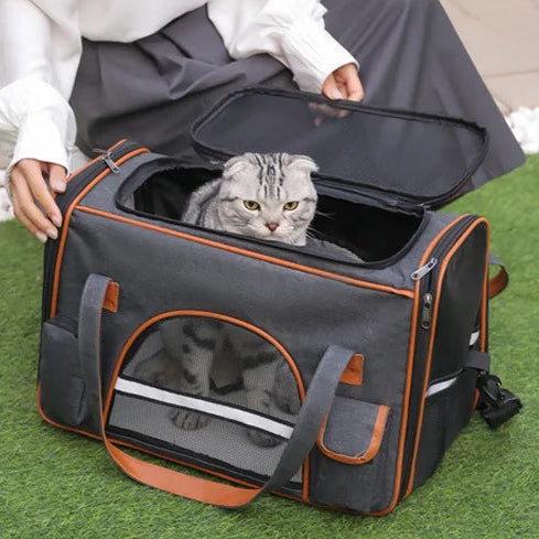 Lop eared cat in an open pet duffle bag
