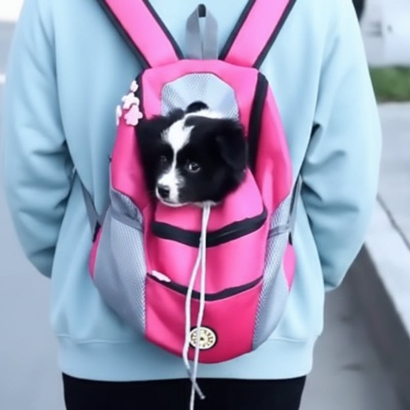 Pup in pink pet carrier backpack