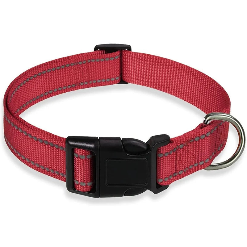 Red dog collar with a black buckle on a white background