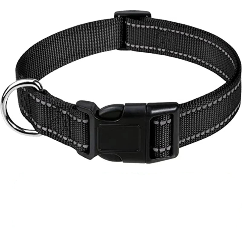 Black dog collar on a white background