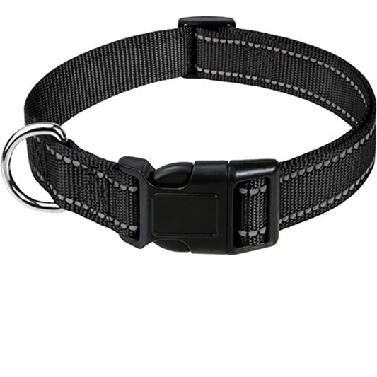 Black dog collar on a white background