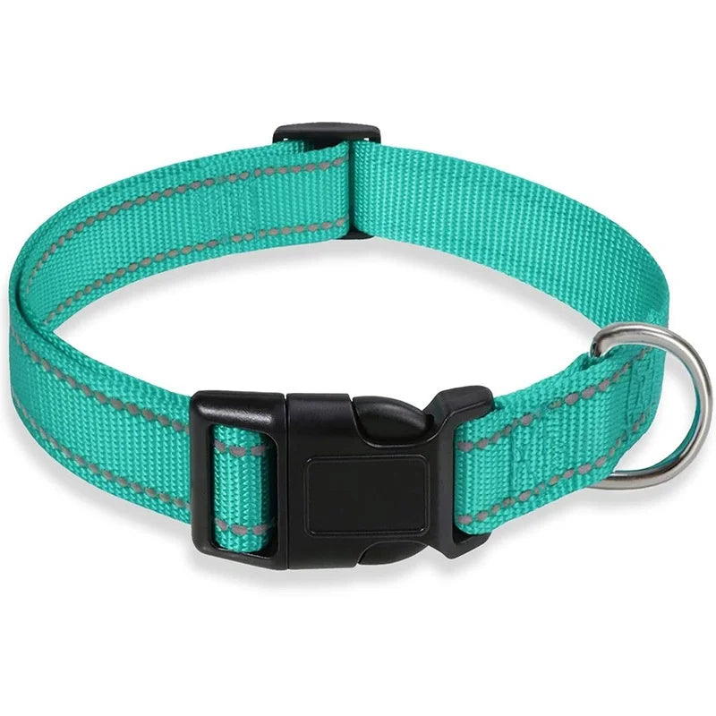 Teal dog collar with a black buckle on a white background