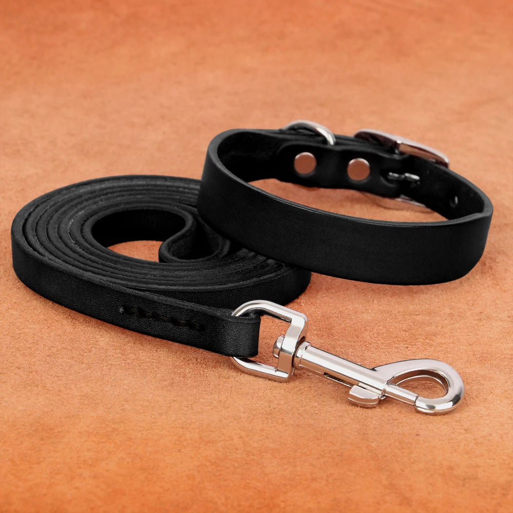 Genuine Leather Pet Collar plus Leash Set
