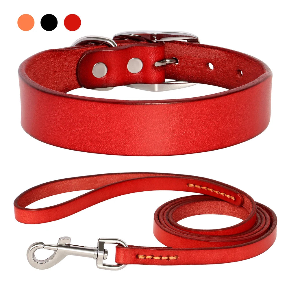 Genuine Leather Pet Collar plus Leash Set