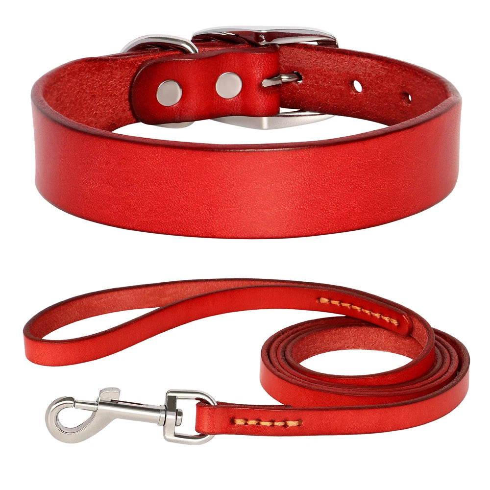 Genuine Leather Pet Collar plus Leash Set