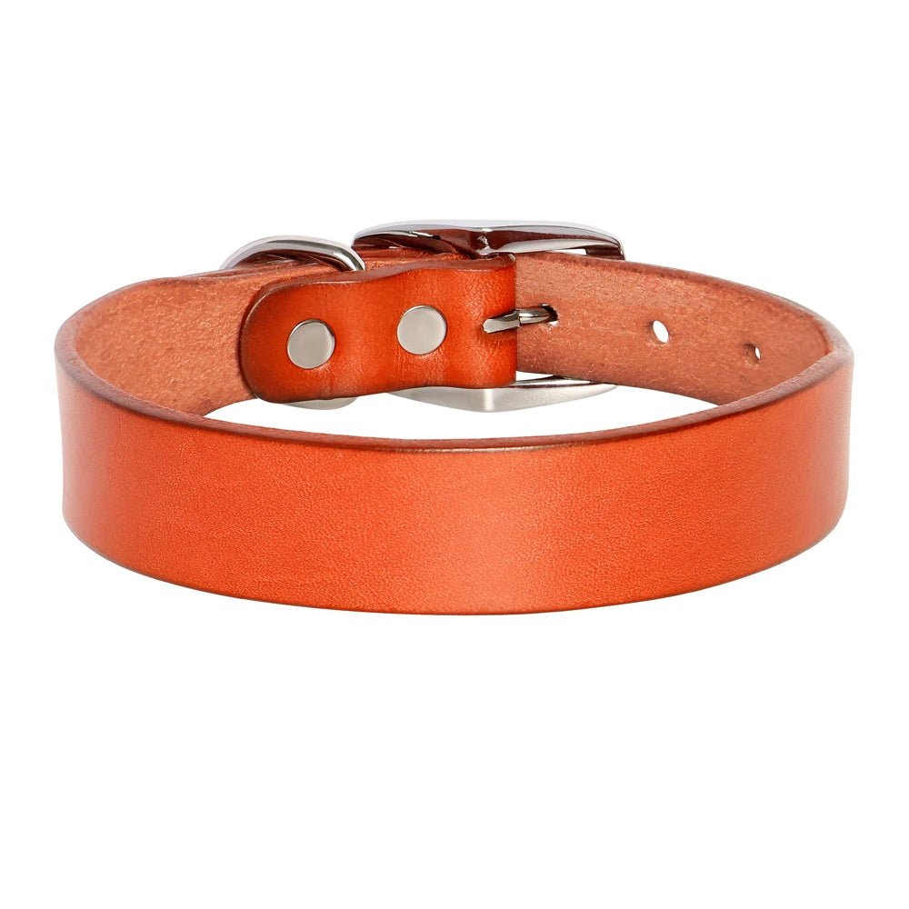 Genuine Leather Pet Collar plus Leash Set