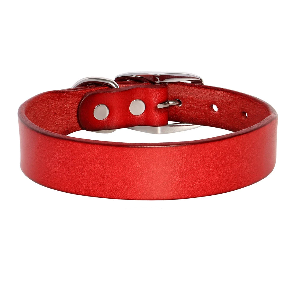 Genuine Leather Pet Collar plus Leash Set