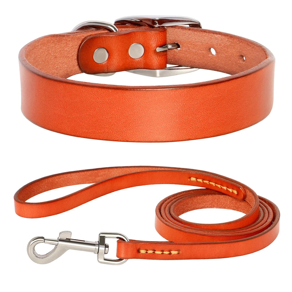 Genuine Leather Pet Collar plus Leash Set