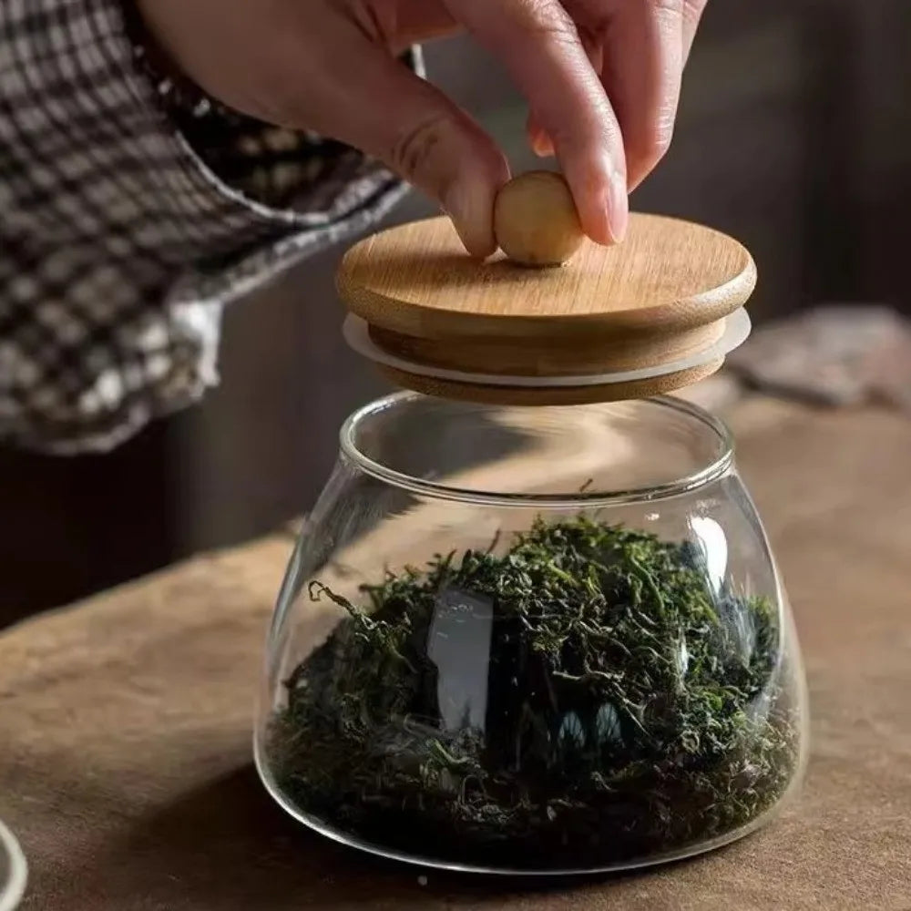 Transparent Airtight Glass Containers Moisture Proof Large Capacity Tea Storage Jar Wooden Lid Food Storage Container
