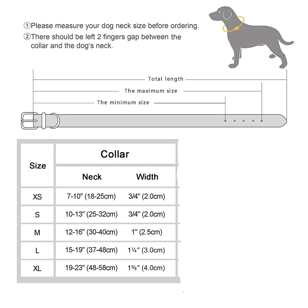 Genuine Leather Pet Collar plus Leash Set