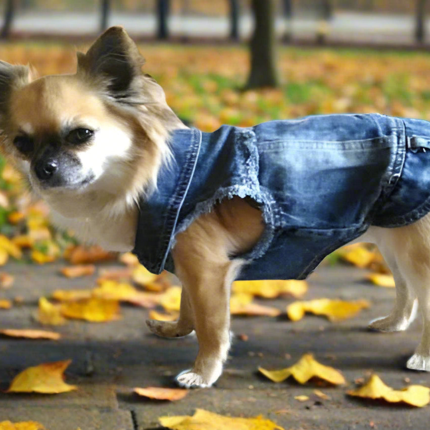 Distressed Denim Doggie Vest