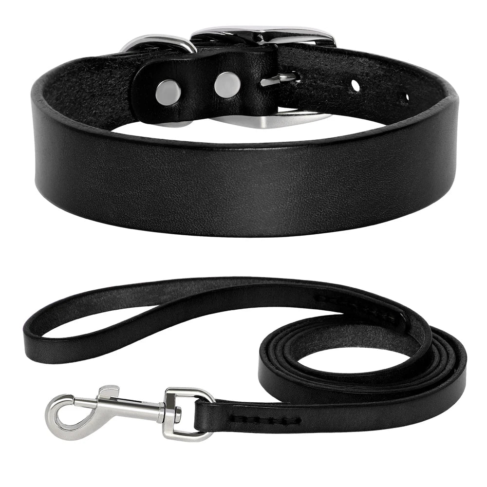Genuine Leather Pet Collar plus Leash Set