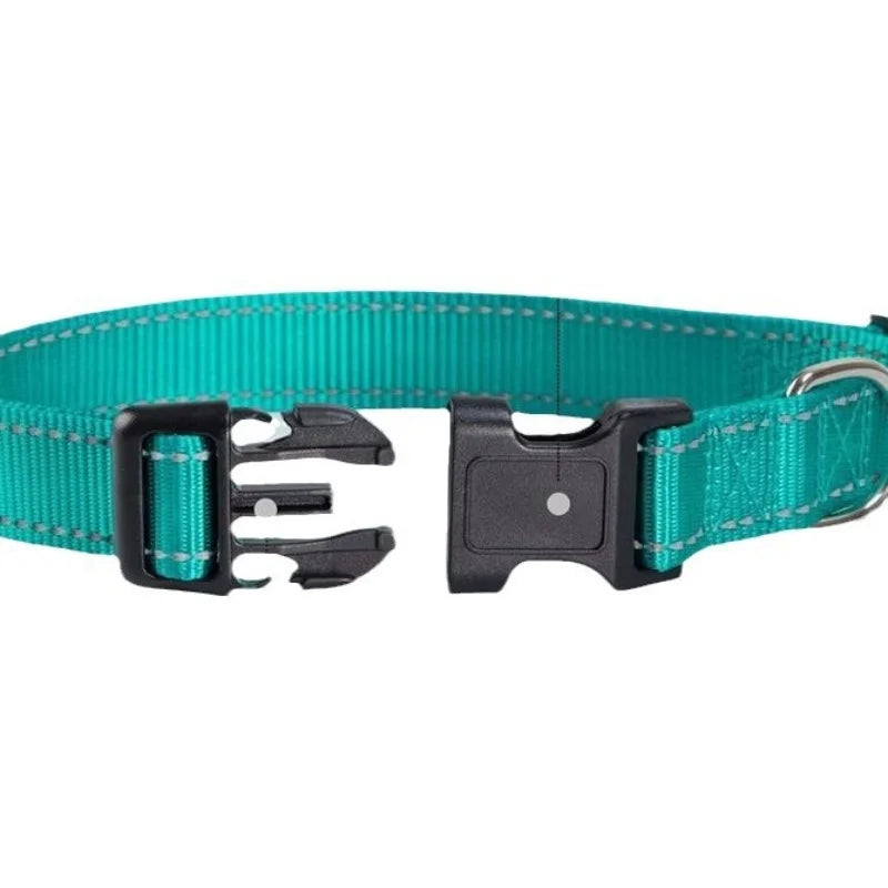 Teal dog collar with black buckle on a white background
