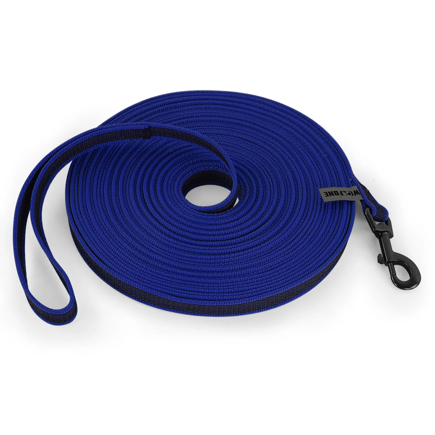 a blue leash lain in a coil