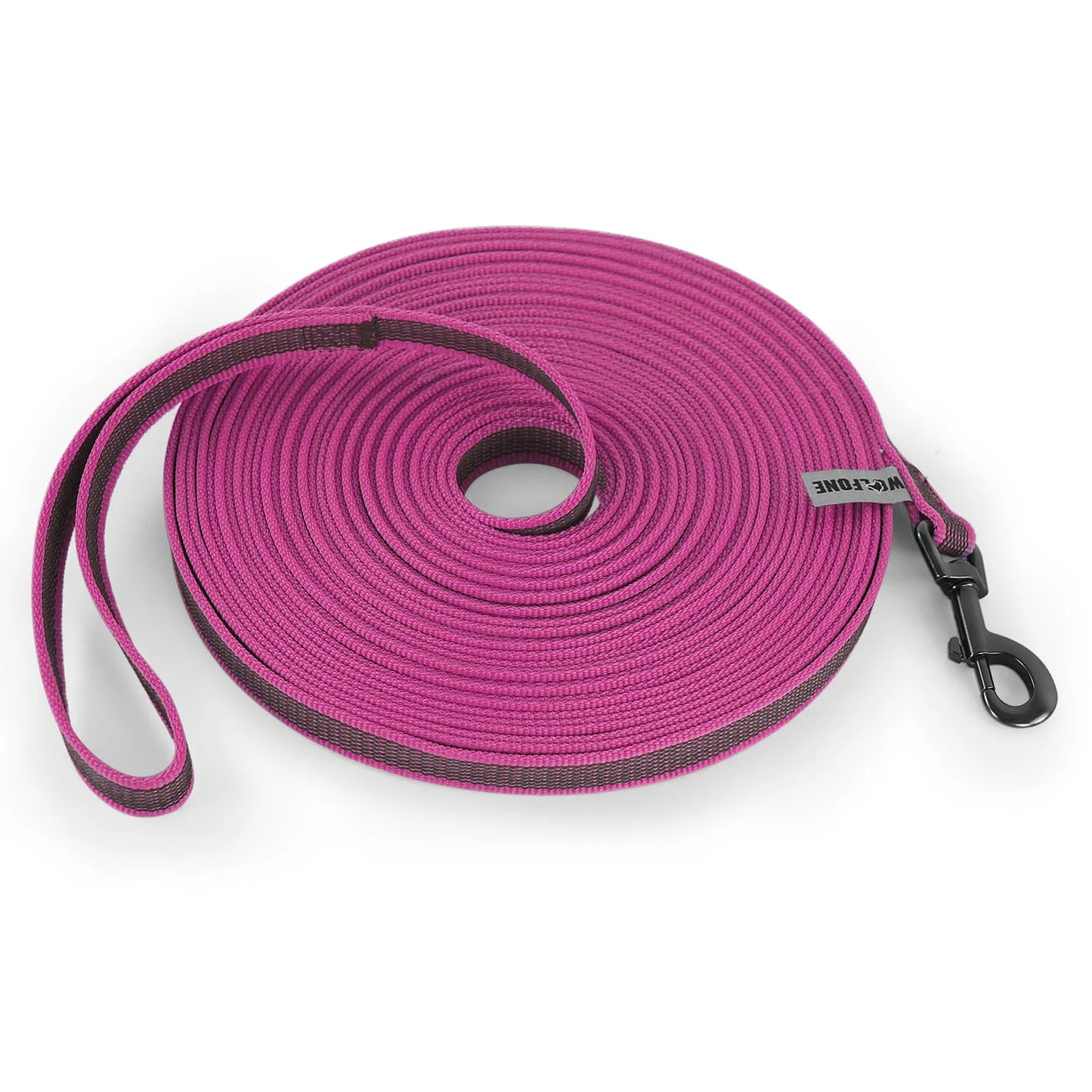 a pink leash lain in a coil