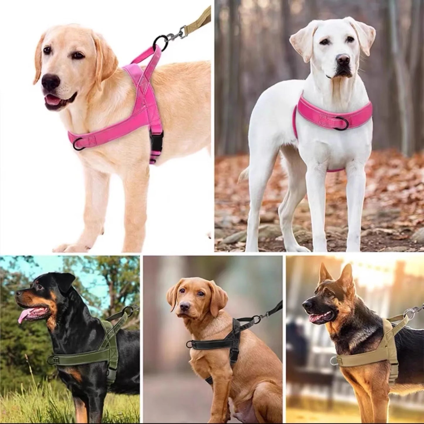 A five-panel collage showing different dogs wearing dog harnesses in various settings: a golden retriever on white, a white dog outdoors, a black-and-tan dog in grass, a tan dog seated indoors, and a German shepherd in a park. The harnesses are shown in pink, olive green, black, and tan colors.