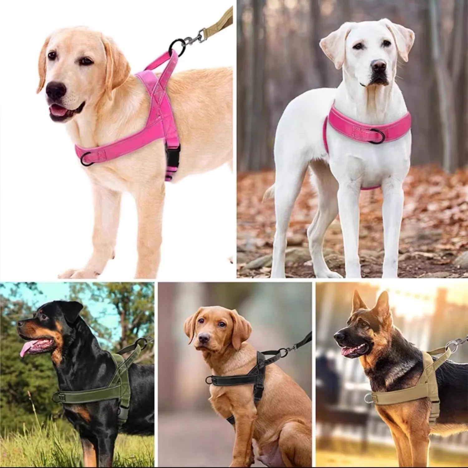 A five-panel collage showing different dogs wearing dog harnesses in various settings: a golden retriever on white, a white dog outdoors, a black-and-tan dog in grass, a tan dog seated indoors, and a German shepherd in a park. The harnesses are shown in pink, olive green, black, and tan colors.