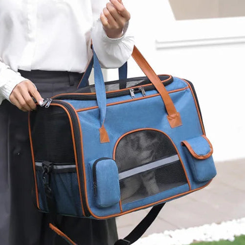 blue cloth pet carrier containing cat