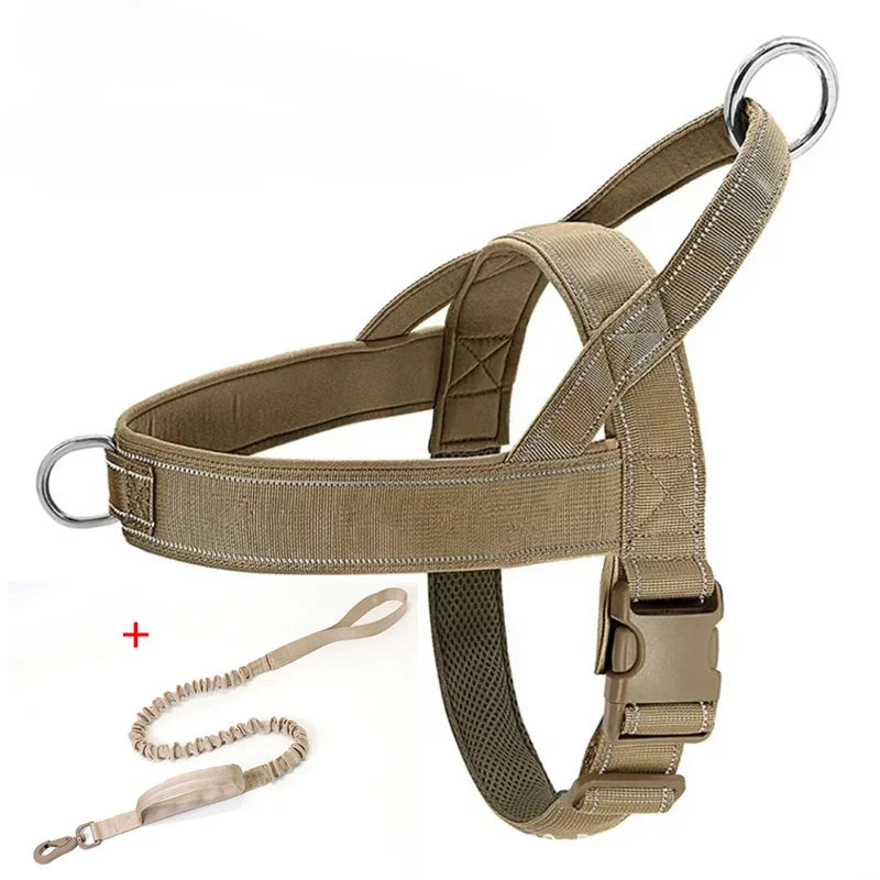 A tan tactical dog harness with silver metal rings and an adjustable plastic buckle, shown on a white background with a matching beige leash included.